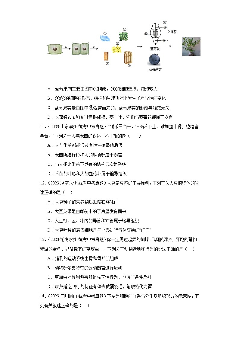 全国中考生物2023年真题分类汇编-12细胞怎样构成生物体选择题②第3页