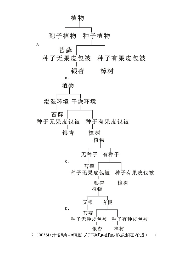 全国中考生物2023年真题分类汇编-13藻类、苔藓、蕨类植物、种子植物第2页