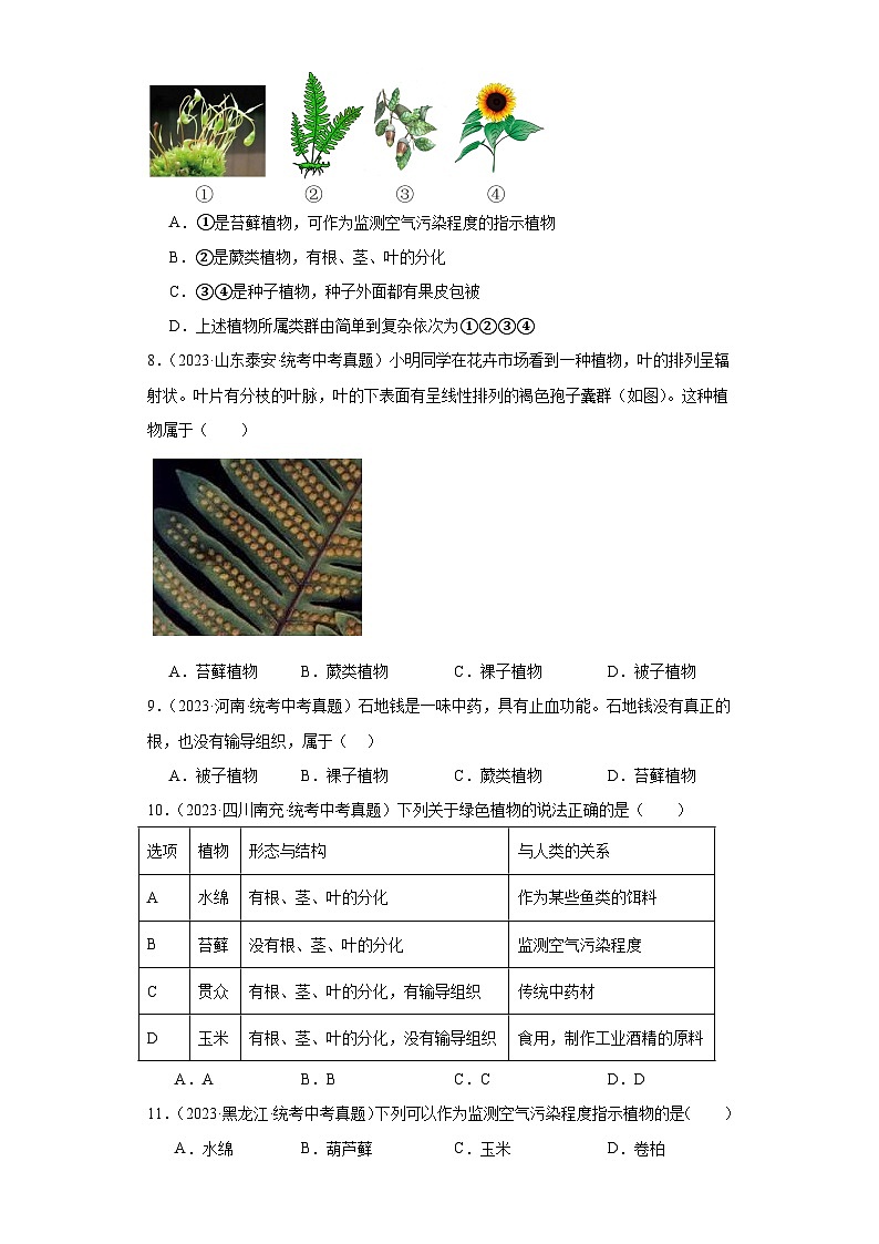 全国中考生物2023年真题分类汇编-13藻类、苔藓、蕨类植物、种子植物第3页