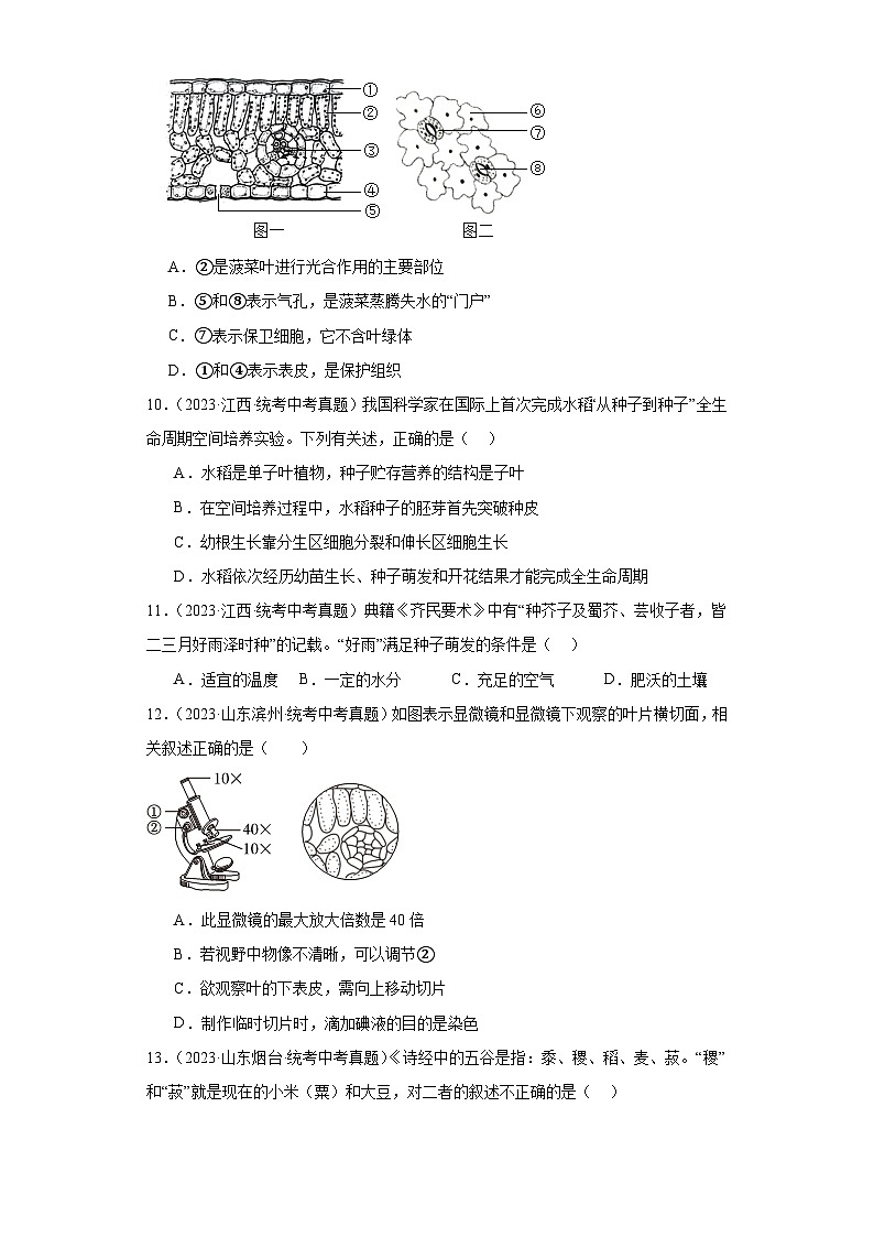 全国中考生物2023年真题分类汇编-14绿色植物开花的一生选择题①03