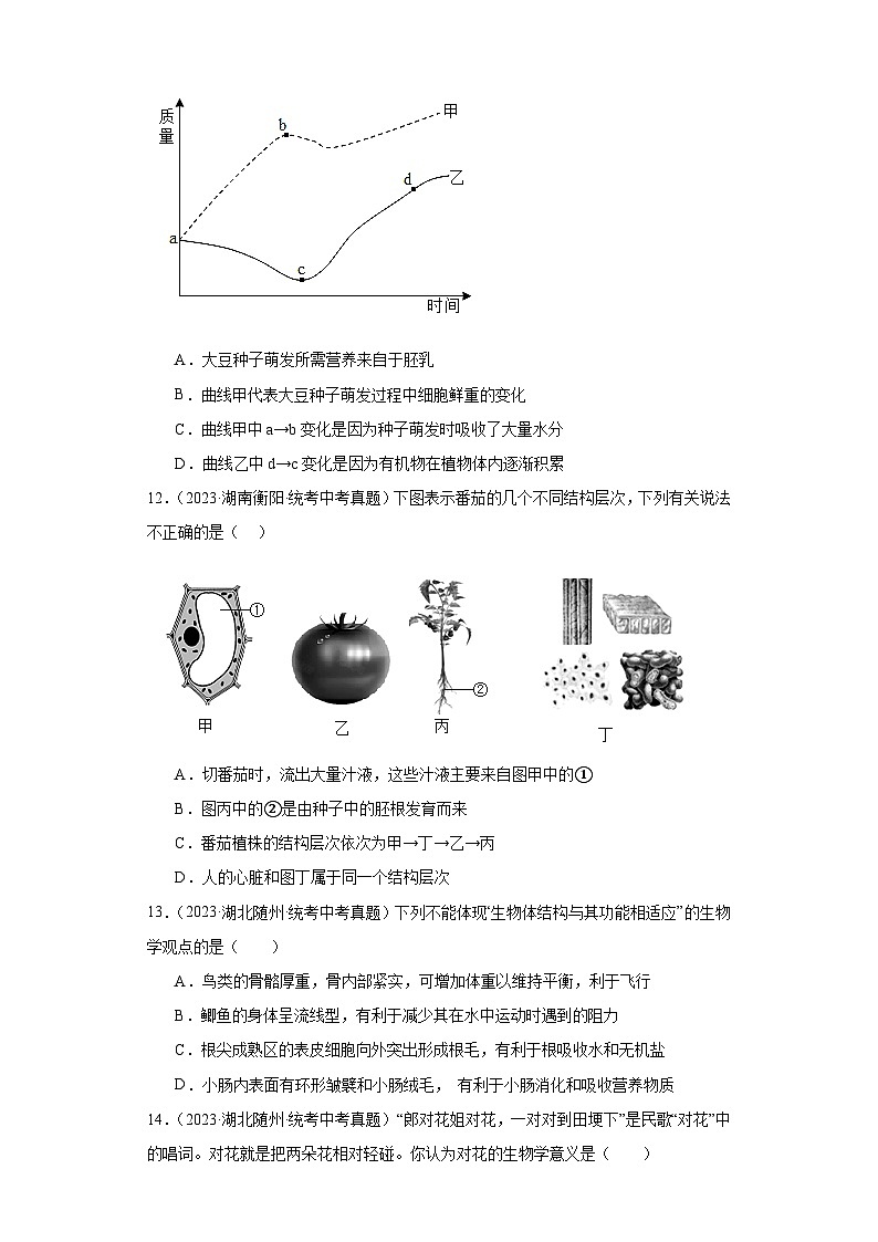 全国中考生物2023年真题分类汇编-15绿色植物开花的一生选择题②03