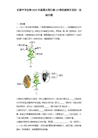 全国中考生物2023年真题分类汇编-16绿色植物开花的一生综合题