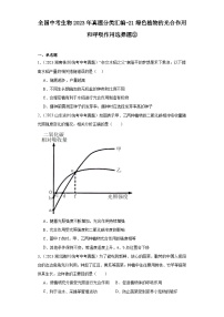 全国中考生物2023年真题分类汇编-21绿色植物的光合作用和呼吸作用选择题②