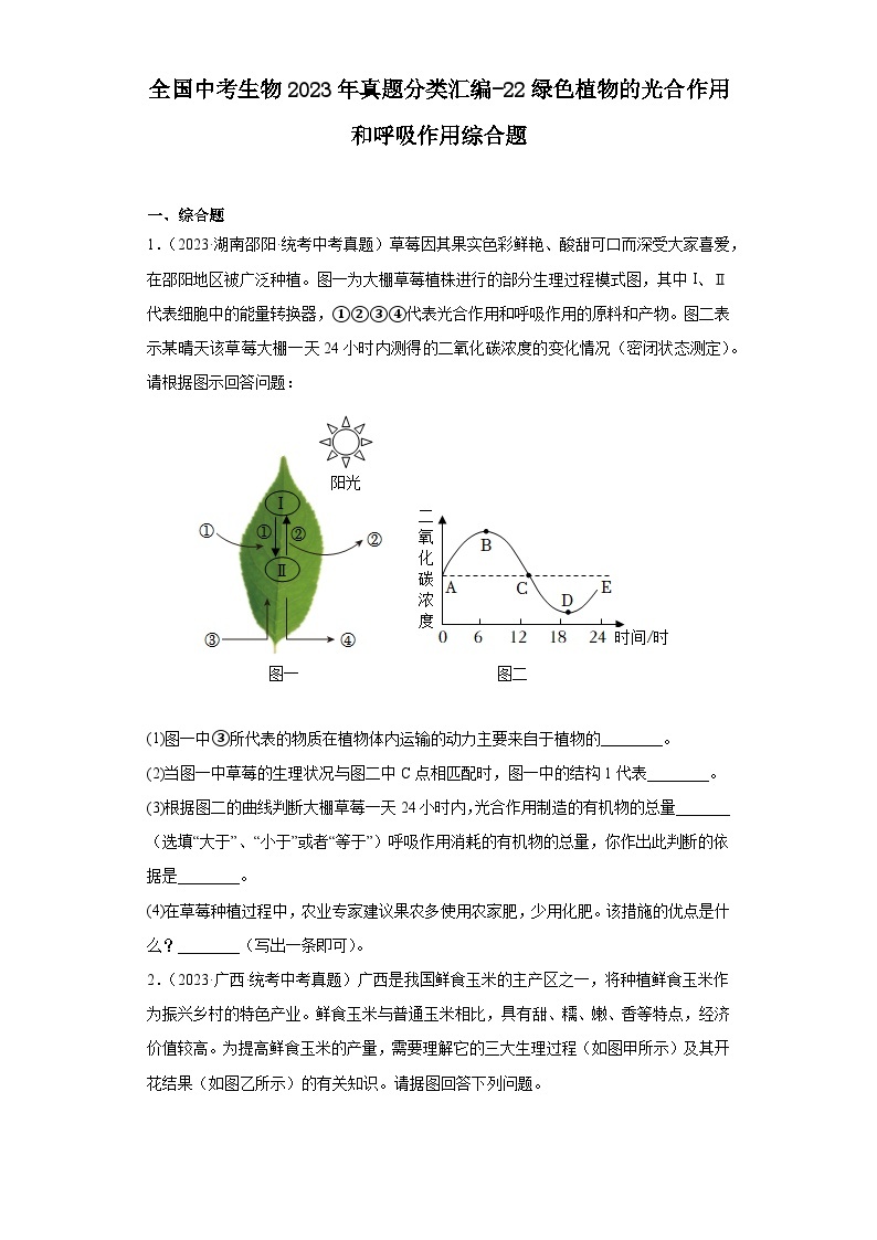 全国中考生物2023年真题分类汇编-22绿色植物的光合作用和呼吸作用综合题01