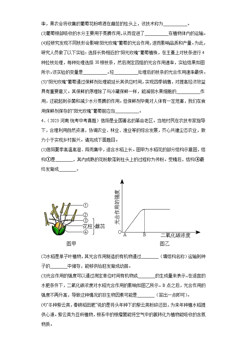 全国中考生物2023年真题分类汇编-22绿色植物的光合作用和呼吸作用综合题第3页