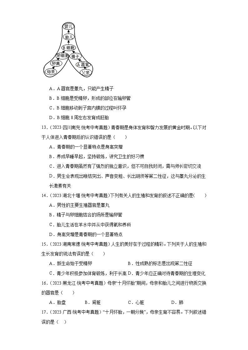 全国中考生物2023年真题分类汇编-23人的由来①第3页