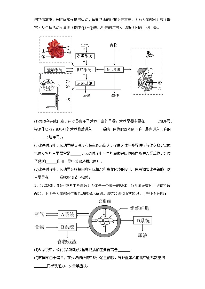 全国中考生物2023年真题分类汇编-27人体的营养综合题第2页