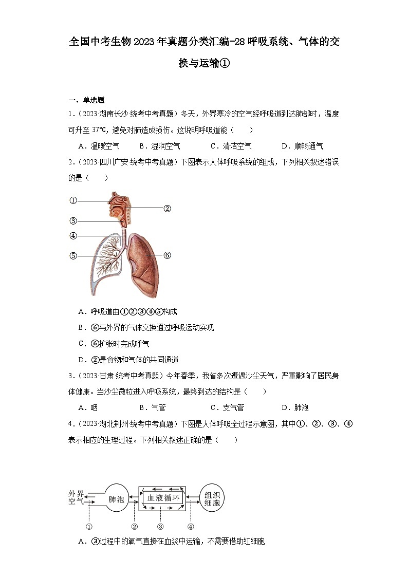 全国中考生物2023年真题分类汇编-28呼吸系统、气体的交换与运输①01