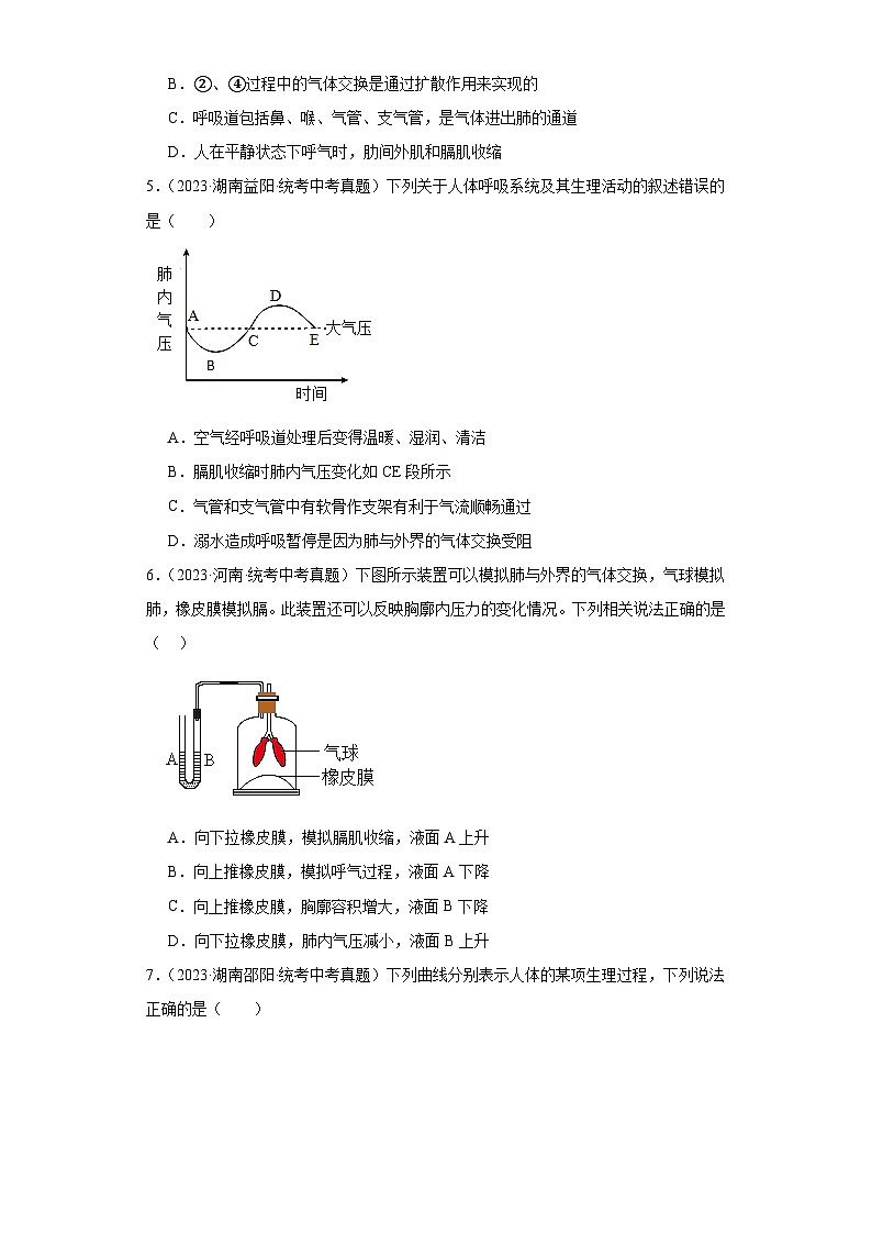 全国中考生物2023年真题分类汇编-28呼吸系统、气体的交换与运输①02