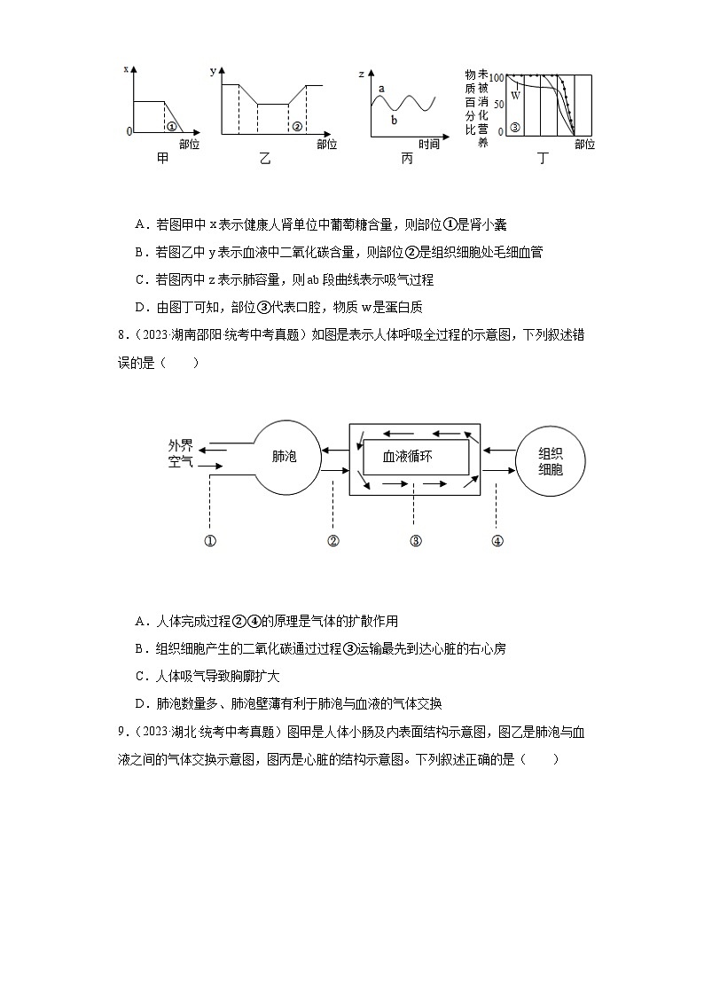 全国中考生物2023年真题分类汇编-28呼吸系统、气体的交换与运输①03