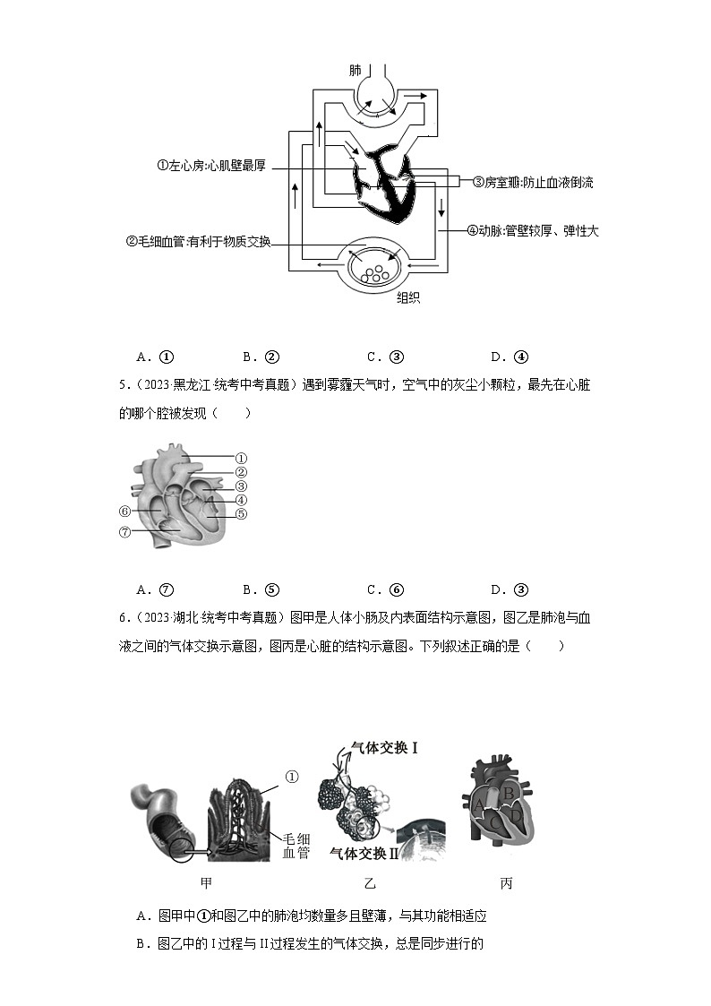全国中考生物2023年真题分类汇编-31输送血液的泵-心脏选择题02