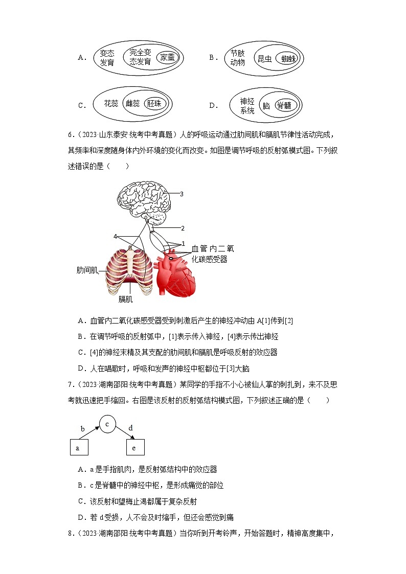 全国中考生物2023年真题分类汇编-36人体的神经调节①第2页
