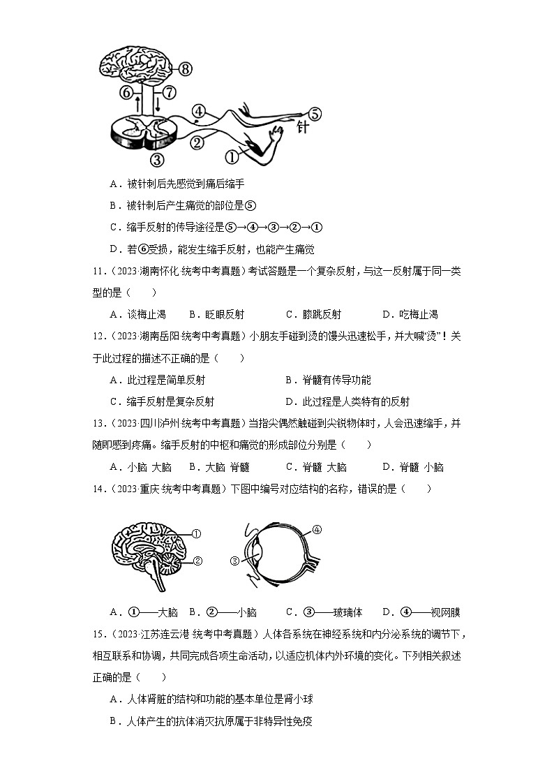 全国中考生物2023年真题分类汇编-37人体的神经调节②第3页