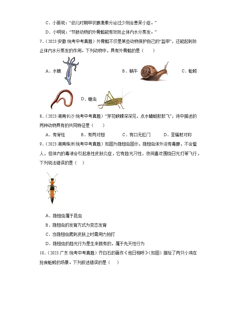 全国中考生物2023年真题分类汇编-40无脊椎动物类群02