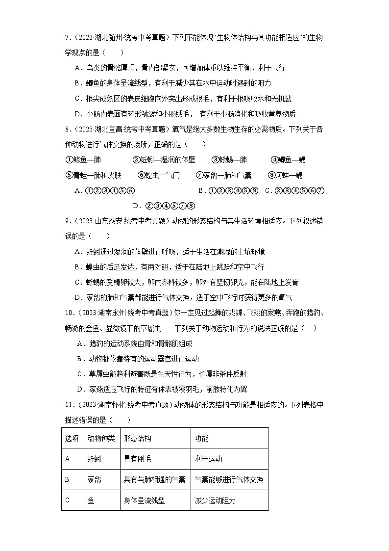 全国中考生物2023年真题分类汇编-42脊椎动物类群②02