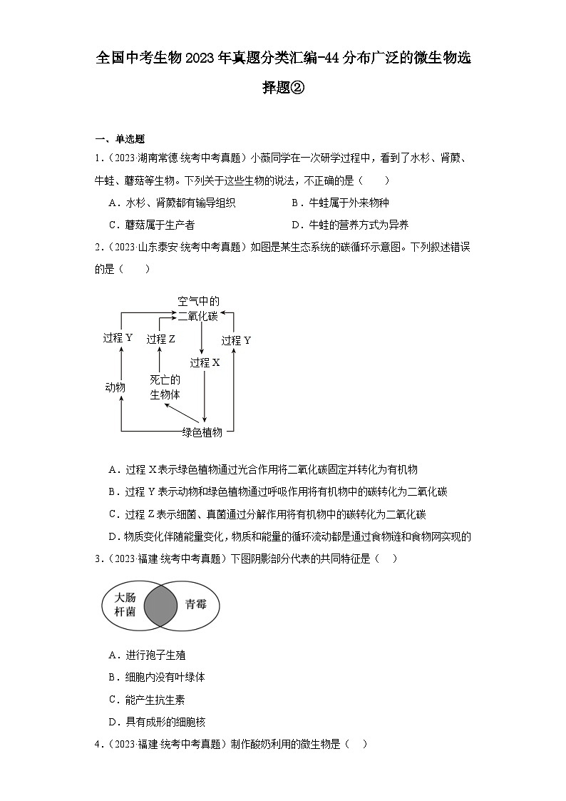 全国中考生物2023年真题分类汇编-44分布广泛的微生物选择题②01