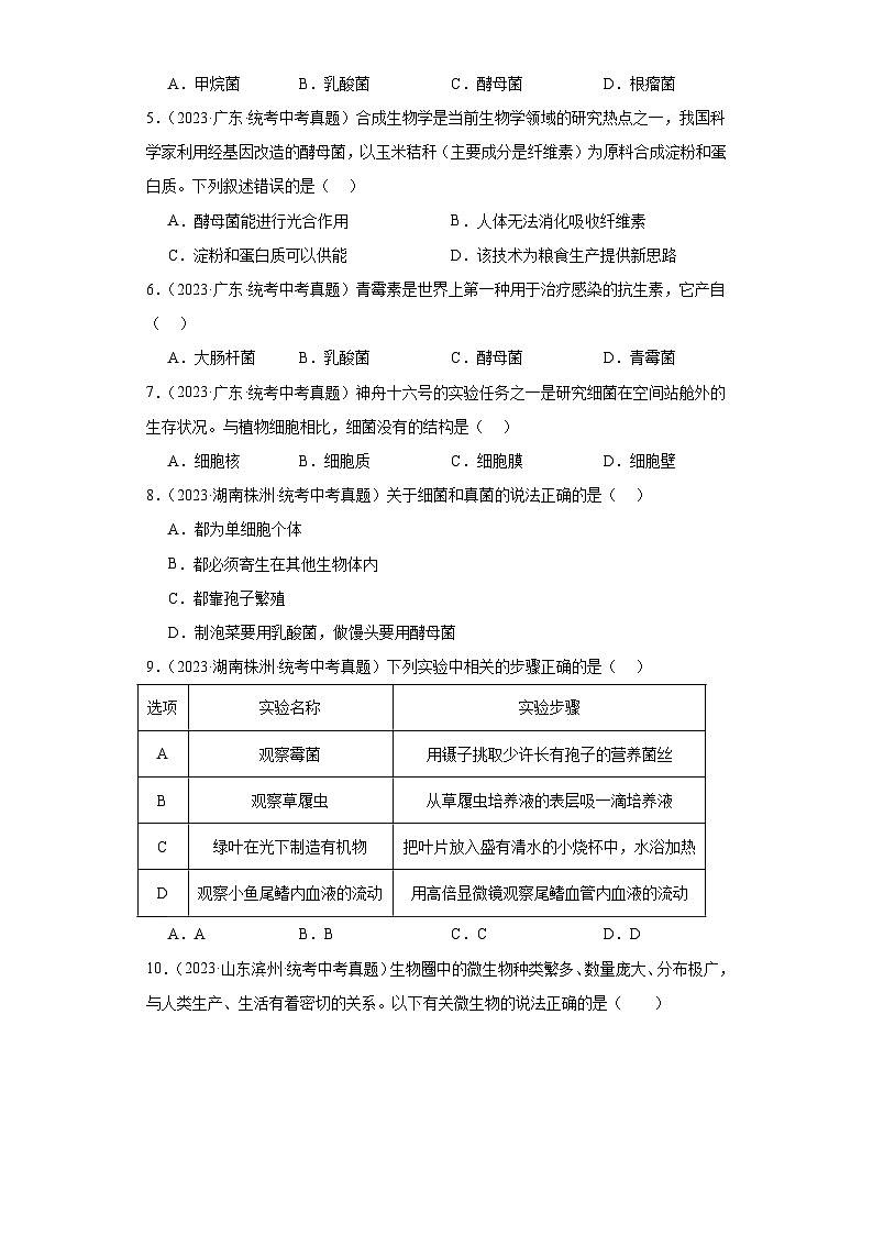 全国中考生物2023年真题分类汇编-44分布广泛的微生物选择题②02