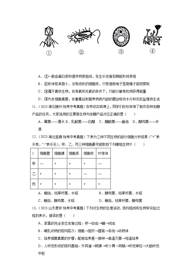 全国中考生物2023年真题分类汇编-44分布广泛的微生物选择题②03