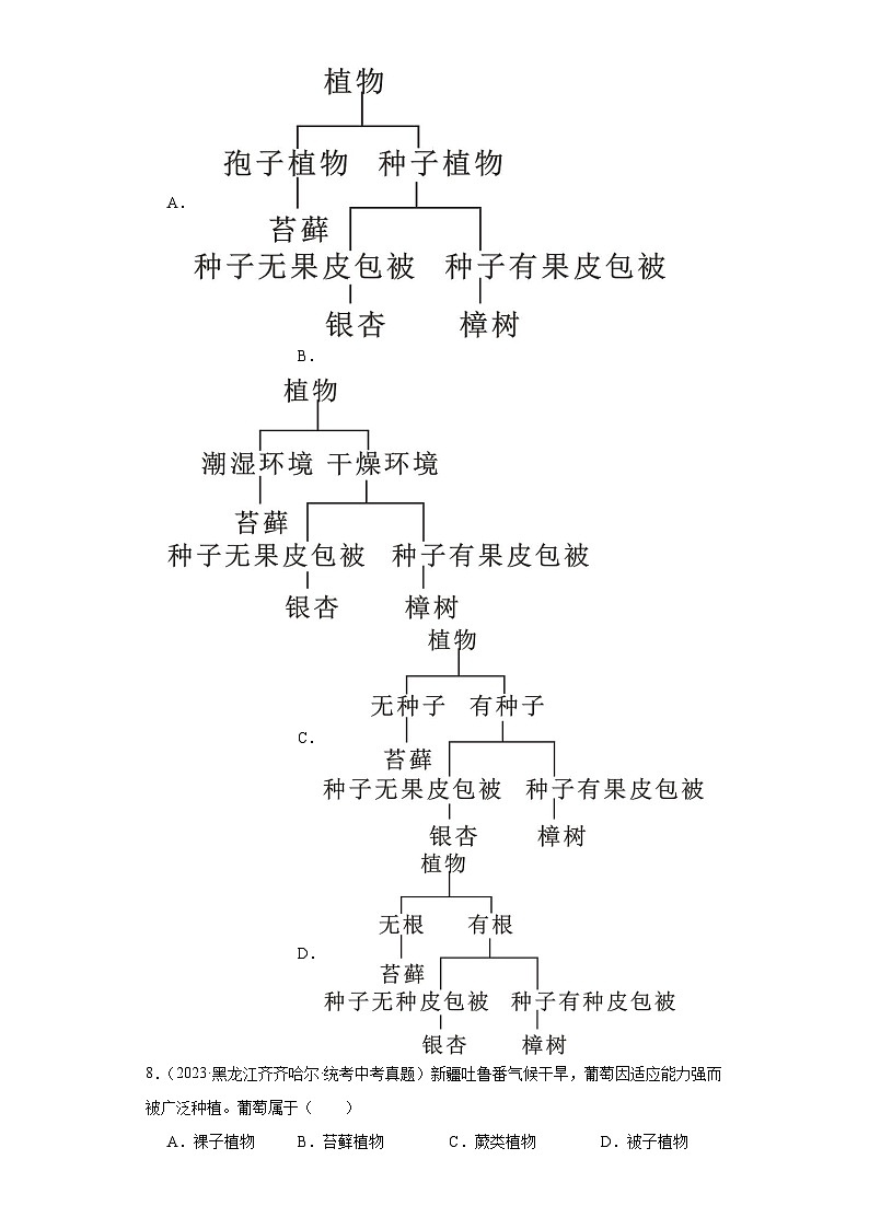 全国中考生物2023年真题分类汇编-48根据生物的特征进行分类第3页