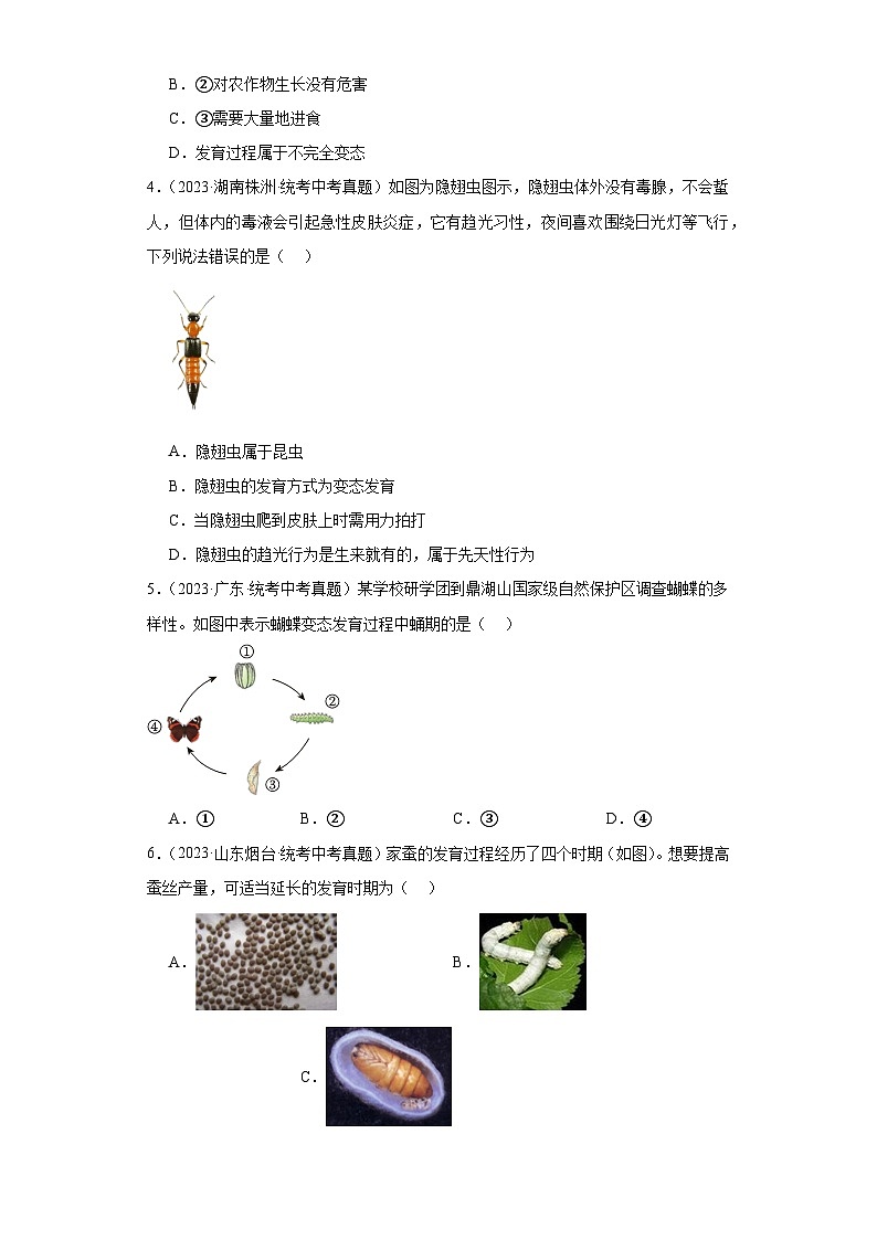 全国中考生物2023年真题分类汇编-51昆虫的生殖和发育02