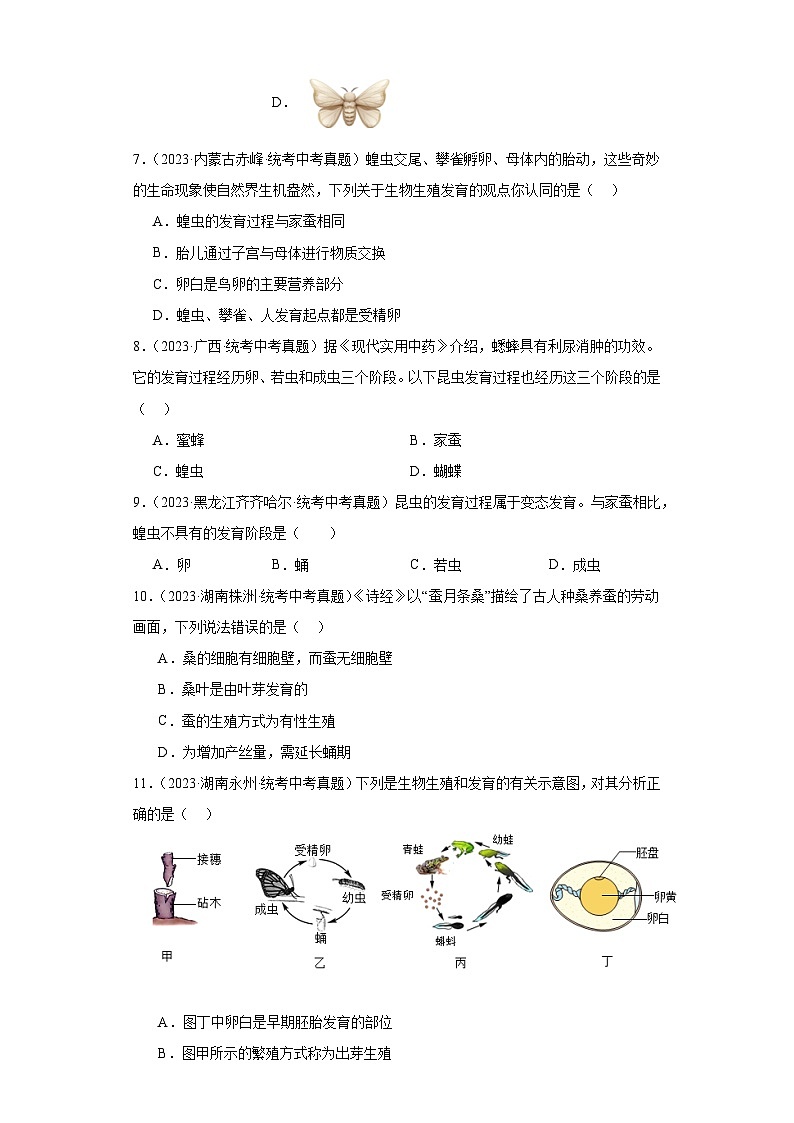 全国中考生物2023年真题分类汇编-51昆虫的生殖和发育03