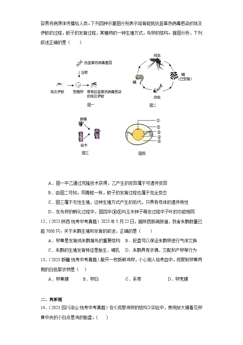 全国中考生物2023年真题分类汇编-52两栖动物、鸟的生殖和发育03