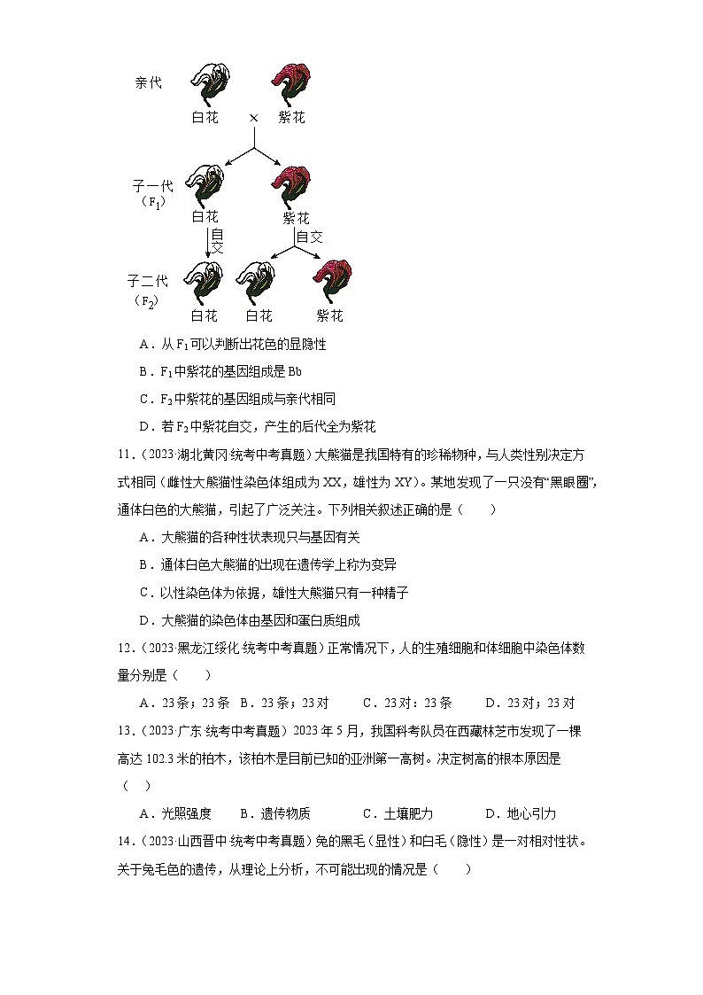 全国中考生物2023年真题分类汇编-53生物的性质和遗传选择题03