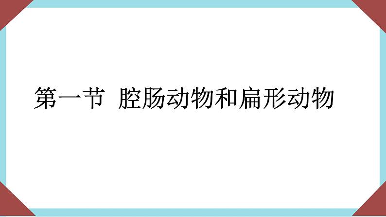 人教版生物八年级上册--5.1.1 腔肠动物和扁形动物  课件03