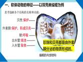 人教版生物八年级上册--5.1.3软体动物和节肢动物      课件