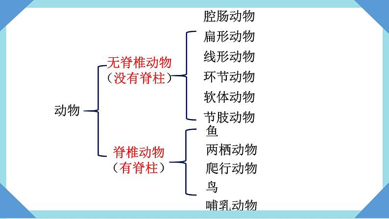 人教版生物八年级上册--5.1.4  鱼  课件07