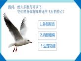 人教版生物八年级上册--5.1.6鸟    课件