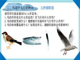 人教版生物八年级上册--5.1.6鸟    课件