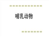 人教版生物八年级上册--5.1.7哺乳动物    课件