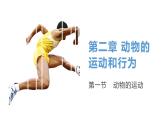 人教版生物八年级上册--5.2.1  动物的运动  课件