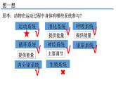 人教版生物八年级上册--5.2.1  动物的运动  课件