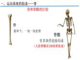 人教版生物八年级上册--5.2.1  动物的运动  课件