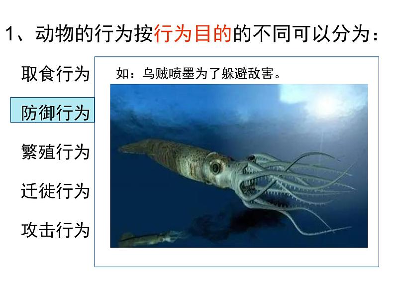 人教版生物八年级上册--5.2.2先天性行为和学习行为    课件03