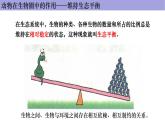 人教版生物八年级上册--5.3.动物在生物圈中的作用      课件