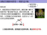 人教版生物八年级上册--5.3.动物在生物圈中的作用      课件