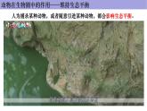 人教版生物八年级上册--5.3.动物在生物圈中的作用      课件
