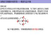 人教版生物八年级上册--5.3.动物在生物圈中的作用      课件