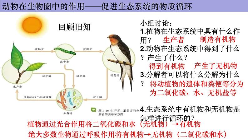 人教版生物八年级上册--5.3.动物在生物圈中的作用      课件第7页