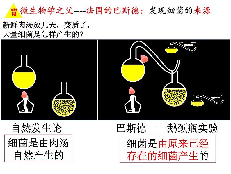 人教版生物八年级上册--5.4.2细菌    课件第6页