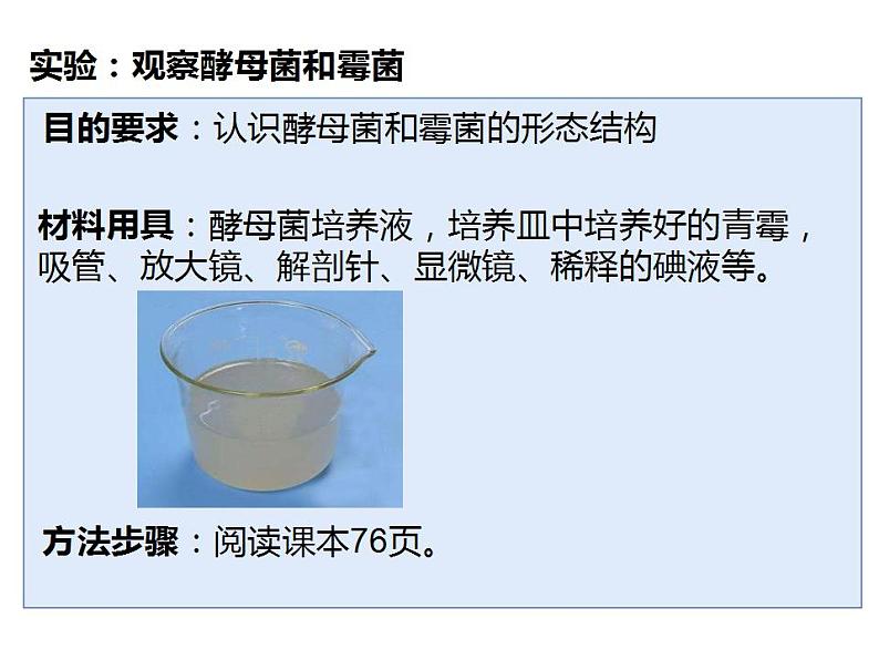 人教版生物八年级上册--5.4.3  真菌  课件第8页