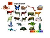 人教版生物八年级上册--6.1.2 从种到界  课件