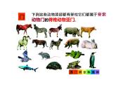 人教版生物八年级上册--6.1.2 从种到界  课件