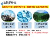 人教版生物八年级上册--6.2 认识生物的多样性  课件