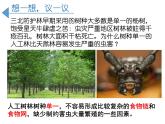 人教版生物八年级上册--6.2 认识生物的多样性  课件