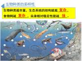 人教版生物八年级上册--6.2 认识生物的多样性  课件