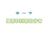 人教版生物八年级上册--5.4.1细菌和真菌的分布    课件
